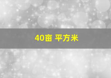 40亩 平方米